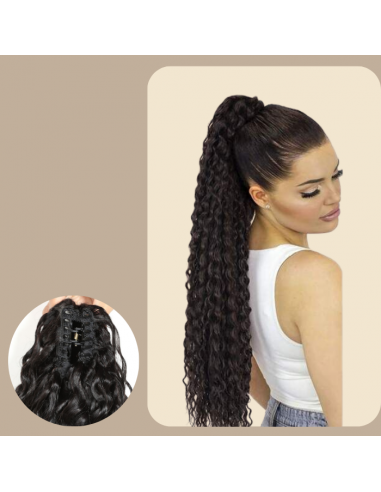 Ponytail Black Hair Clip Natural Remy Hair Deep Wave Economisez 