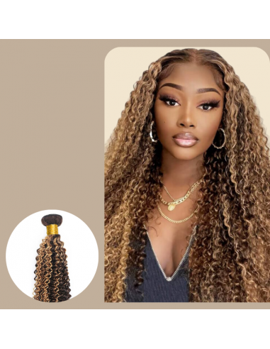 Virgin Hair Weaving Human Hair Kinky Curly 7A Brown Highlighted Blonde P4/27 100 Gr de l' environnement